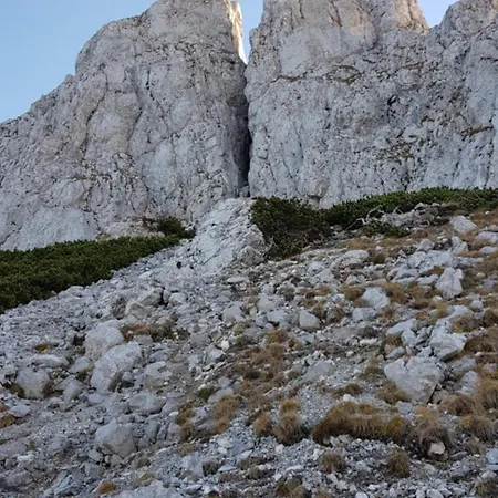 Mittelpunkt - Kaufmann *