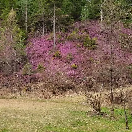 Διαμέρισμα Mittelpunkt - Kaufmann *