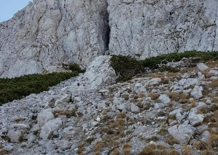 Mittelpunkt - Kaufmann *