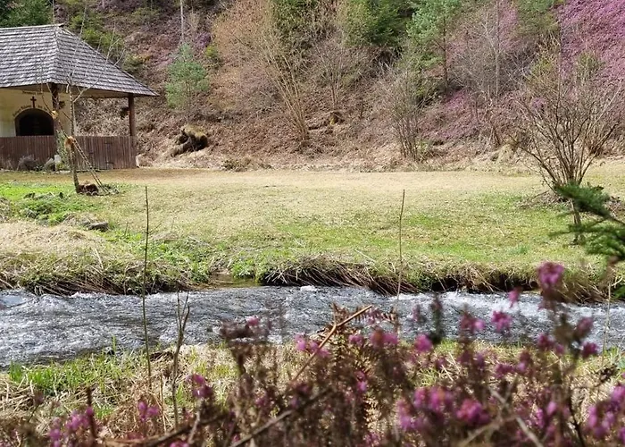Mittelpunkt - Kaufmann Apartment *